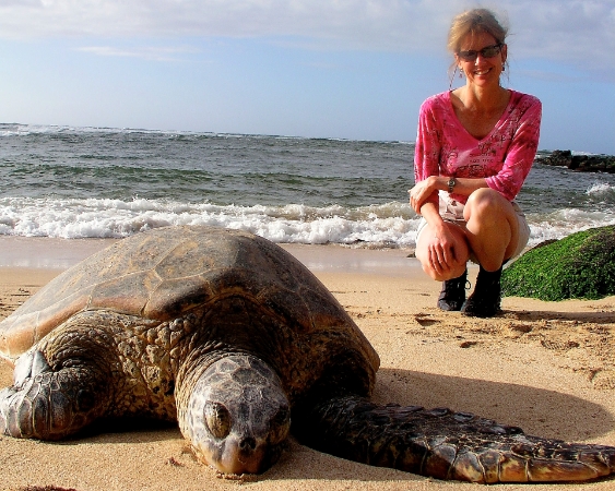 Hawaii turtle wHeathersmaller